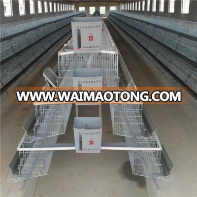 Poultry animal egg chicken layer cage