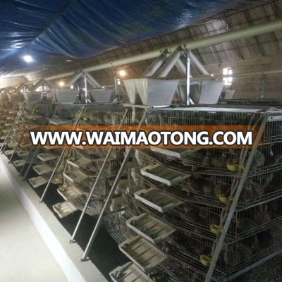 A Type 6 tier  Chicken Cage /battery Chicken Layer Cage