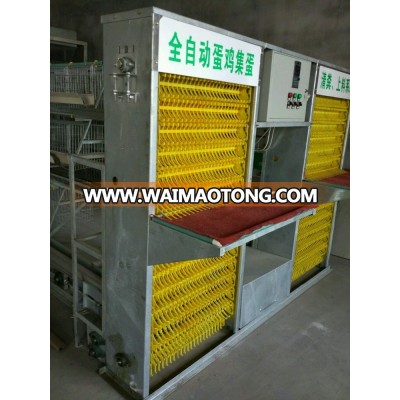 Qingdao automatic chicken layer cage