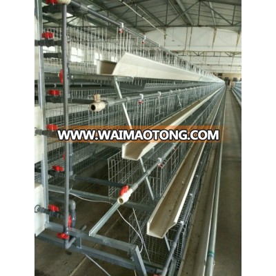 Qingdao automatic chicken cage for sale/cages chicken