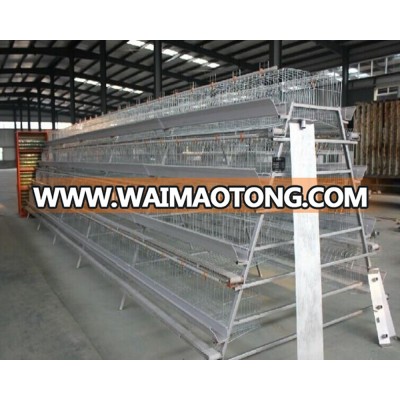 Qingdao automatic poultry cage for sale