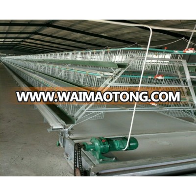 Qingdao 3 tiers automatic chicken egg layer cage