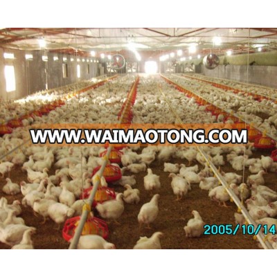 Poultry farm automatic feeder system for chicken