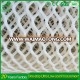 Factory Lowest Price Plastic Chicken Wire Mesh Roll For Broiler Chicken Coop In Philippines And Kenya